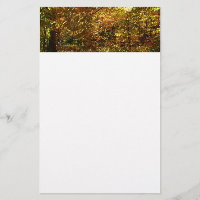 Canopy of Fall Leaves II Yellow Autumn Photography Stationery (Front)