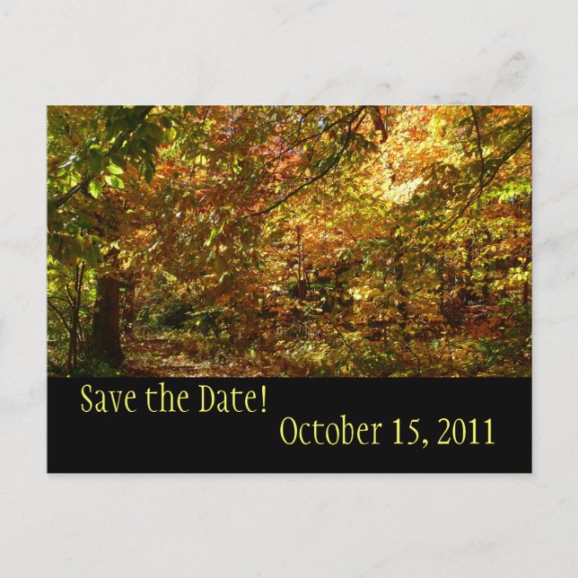 Canopy of Fall Leaves Save the Date Postcard (Front)