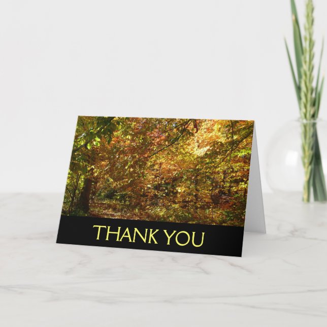 Canopy of Fall Leaves Thank You Card (Blank Inside (Front)