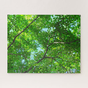 Canopy of Green, Leafy Branches with Blue Sky Jigsaw Puzzle