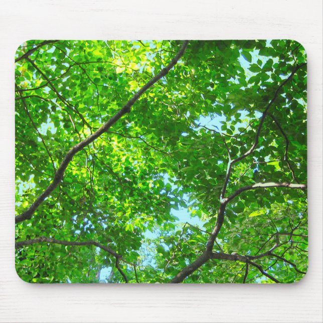 Canopy of Green, Leafy Branches with Blue Sky    Mouse Mat (Front)