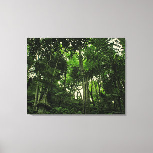 Canopy of Lushness @ Madeira Portugal Wrapped Canv Canvas Print