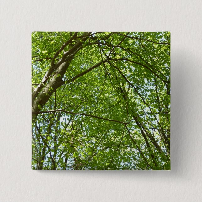 Canopy of Spring Leaves Green Nature Scene 15 Cm Square Badge (Front)