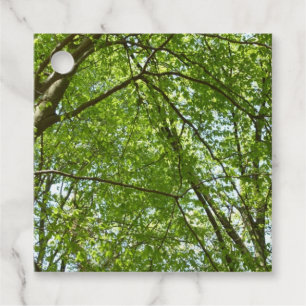 Canopy of Spring Leaves Green Nature Scene Favour Tags