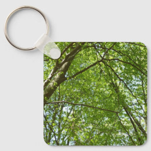 Canopy of Spring Leaves Green Nature Scene Key Ring