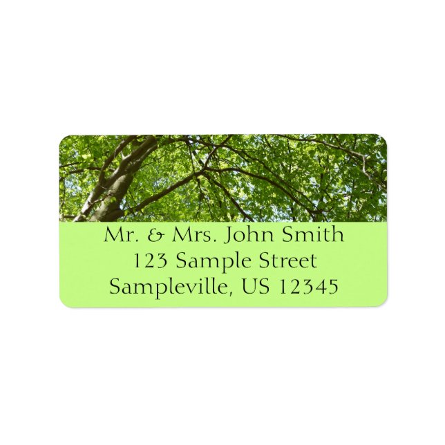 Canopy of Spring Leaves Green Nature Scene Label (Front)