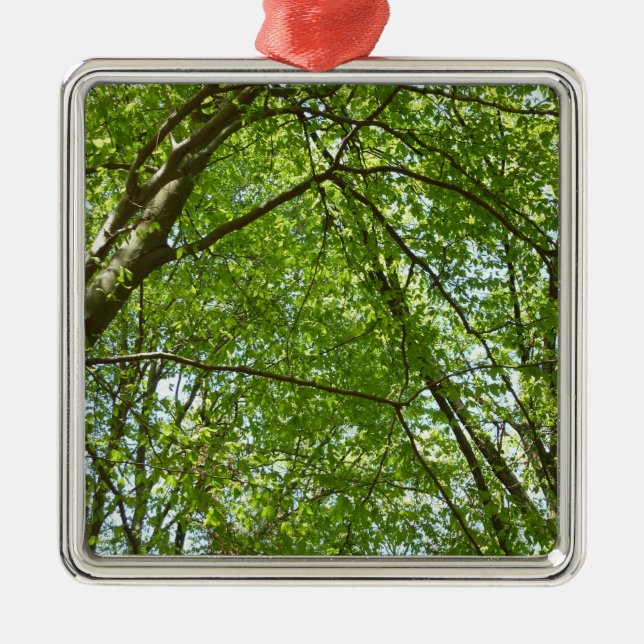 Canopy of Spring Leaves Green Nature Scene Metal Tree Decoration (Front)