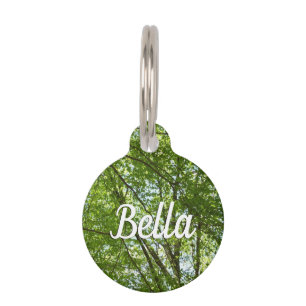 Canopy of Spring Leaves Green Nature Scene Pet Tag