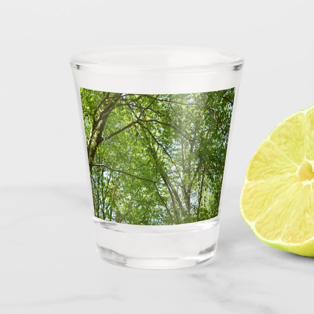 Canopy of Spring Leaves Green Nature Scene Shot Glass (Front)