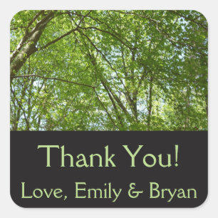 Canopy of Spring Leaves Green Nature Scene Square Sticker