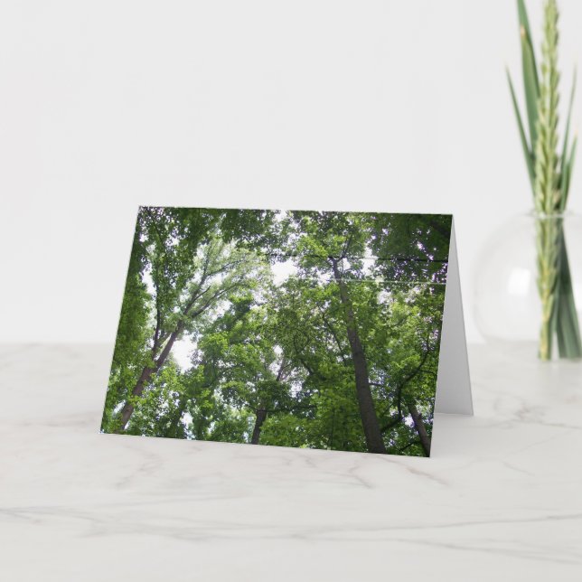 Canopy Thank You Card (Front)