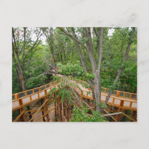 Canopy Walk, Blacklick Woods Metro Park, Ohio Postcard