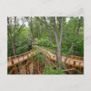 Canopy Walk, Blacklick Woods Metro Park, Ohio Postcard