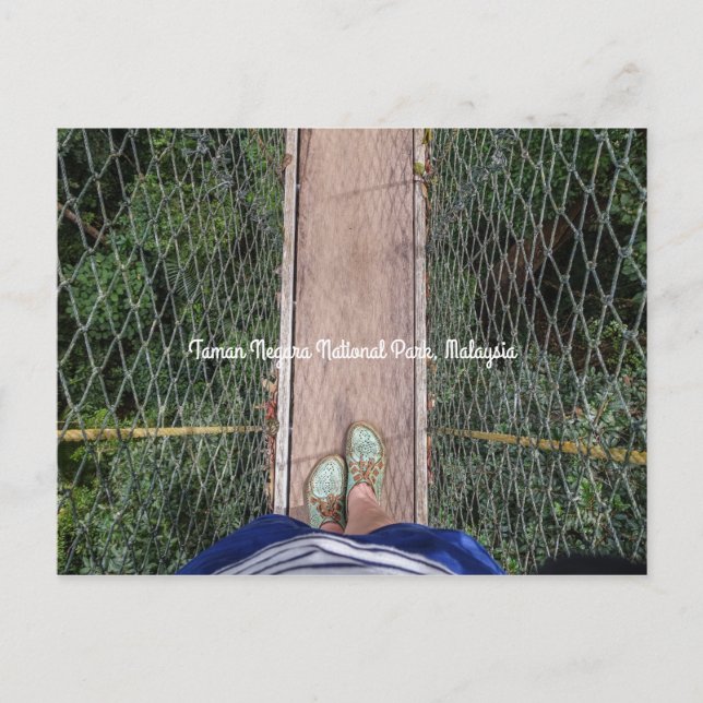 Canopy walkway Taman Negara National Park Malaysia Postcard (Front)