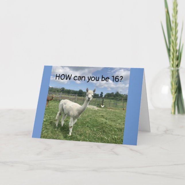 CAN'T BELIEVE YOU ARE CELEBRATING "16th" BIRTHDAY  Card (Front)