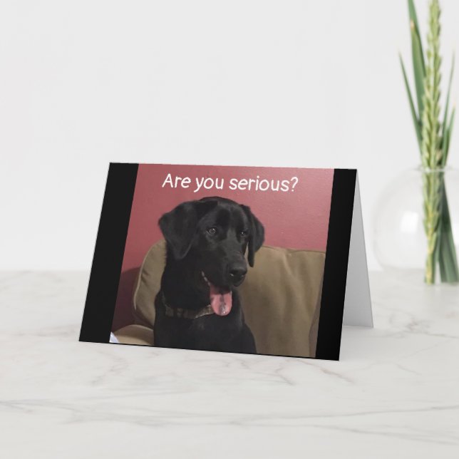 CAN'T BELIEVE YOU ARE CELEBRATING "20th" BIRTHDAY  Card (Front)