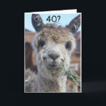 CAN'T BELIEVE YOU ARE CELEBRATING "40th" BIRTHDAY  Card<br><div class="desc">HORSE JUST CANNOT BELIEVE THAT HIS FRIEND OR FAMILY MEMBER IS ALL READY TO CELEBRATE YOUR **40th BIRTHDAY!!!! THANKS FOR STOPPING BY ONE OF MY EIGHT STORES! REMEMBER YOU CAN CHANGE THE "AGE" AND "VERSES" IN AND OUT YOU WISH IN SECONDS!</div>