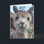 CAN'T BELIEVE YOU ARE CELEBRATING "40th" BIRTHDAY  Card<br><div class="desc">HORSE JUST CANNOT BELIEVE THAT HIS FRIEND OR FAMILY MEMBER IS ALL READY TO CELEBRATE YOUR **40th BIRTHDAY!!!! THANKS FOR STOPPING BY ONE OF MY EIGHT STORES! REMEMBER YOU CAN CHANGE THE "AGE" AND "VERSES" IN AND OUT YOU WISH IN SECONDS!</div>