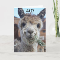 CAN'T BELIEVE YOU ARE CELEBRATING "40th" BIRTHDAY