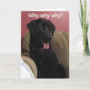 CAN'T BELIEVE YOU ARE CELEBRATING "70th" BIRTHDAY Card