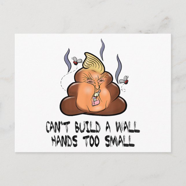 Can't Build A Wall Hands Too Small Funny Anti Trum Postcard (Front)
