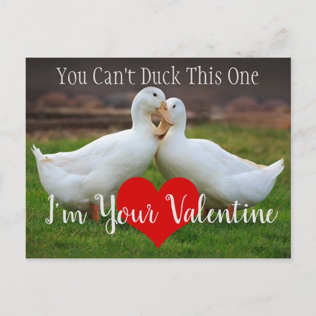 Can't Duck Valentine Postcard (Front)