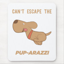 can't escape the pup-arazzi