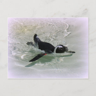 Can't Get Mad at Looking at a Penguin! Postcard