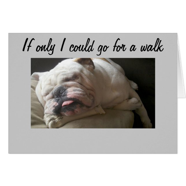 CAN'T GO FOR A WALK-TOO SAD (Front Horizontal)