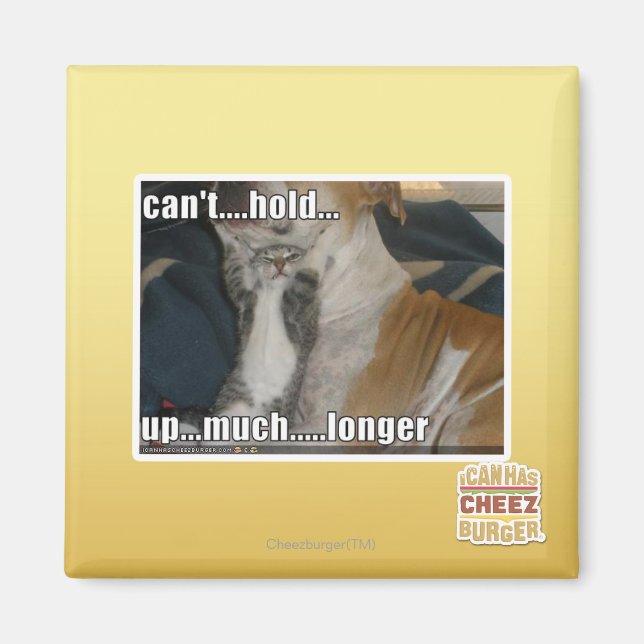 Can't Hold Up Much Longer Magnet (Front)