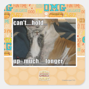 Can't Hold Up Much Longer Square Sticker