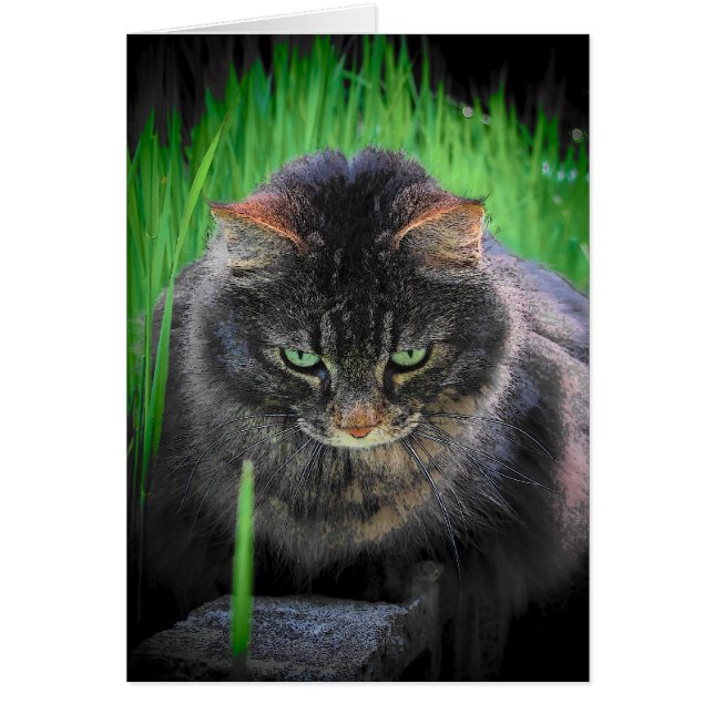 Can't look away (Front)