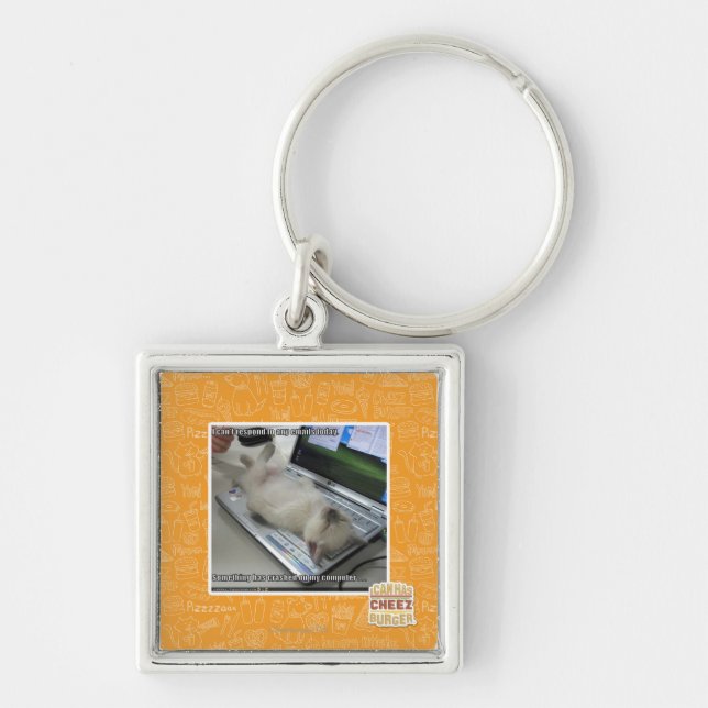 Can't respond key ring (Front)