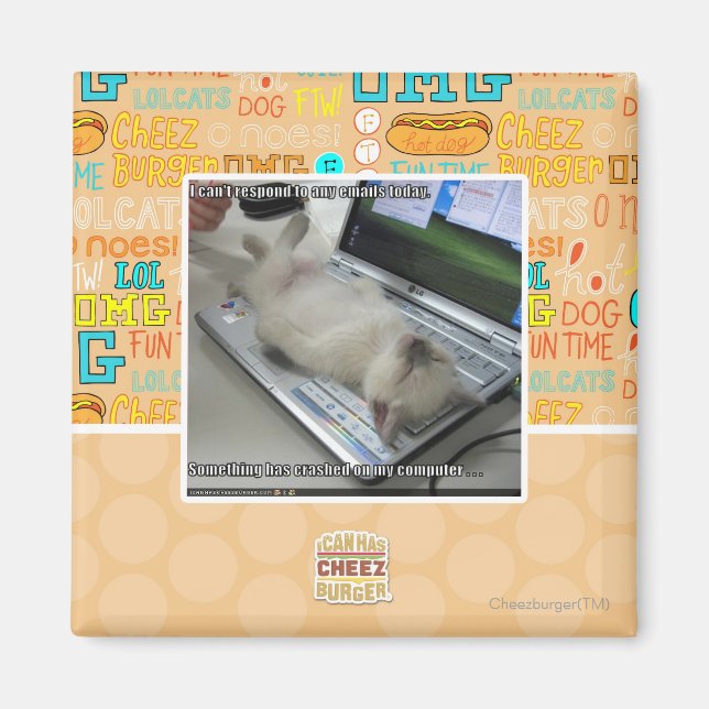 Can't respond magnet (Front)
