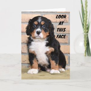 CAN'T SAY IT IN PERSON SO SAD CHRISTMAS CARD