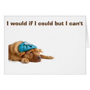 CAN'T STOP *MISSING YOU* SAYS THIS DOWN & OUT PUP