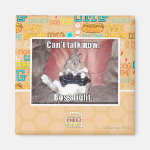 Can't talk now, boss fight. magnet