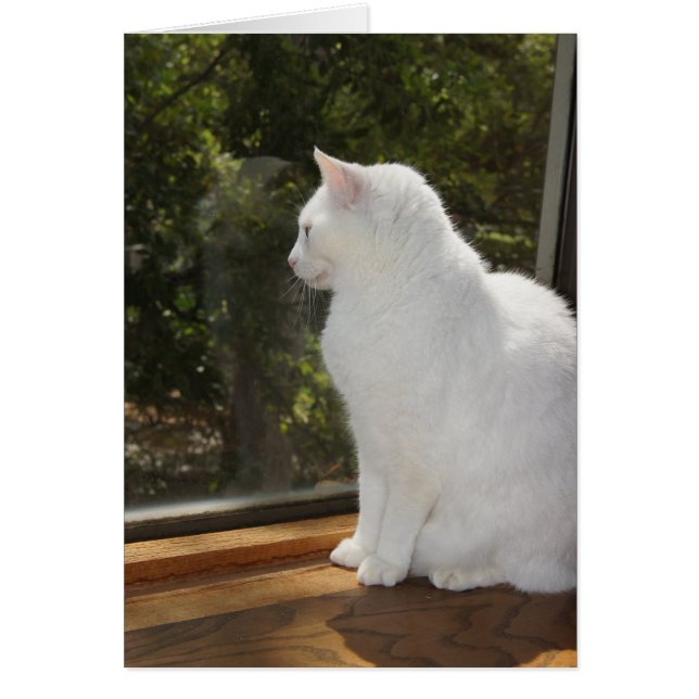 Can't Wait to See You (Front)