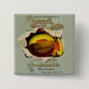 Cantaloupe Seed Advertising Art Antique 15 Cm Square Badge