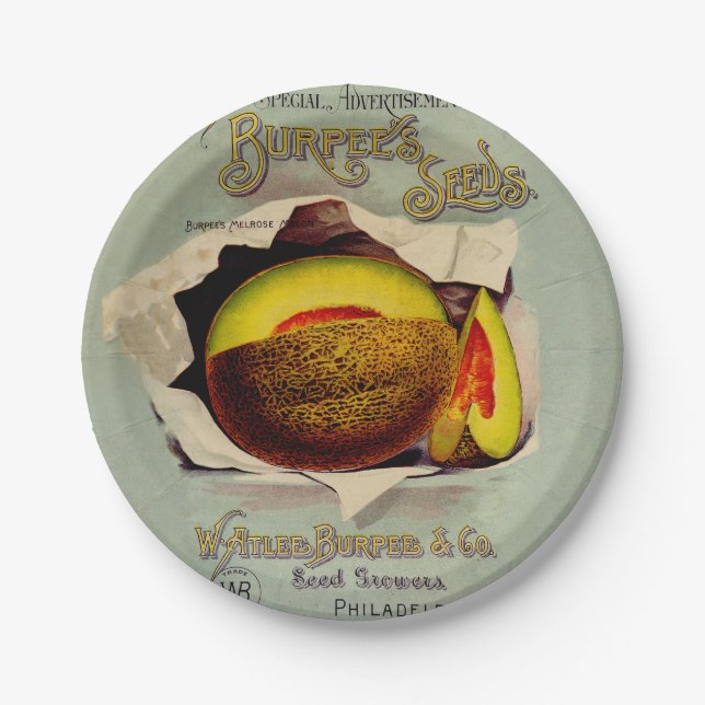 Cantaloupe Seed Advertising Art Antique Paper Plate (Front)