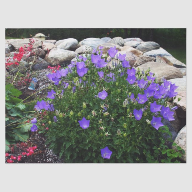 Canterbury Bells Tissue Paper (Front)