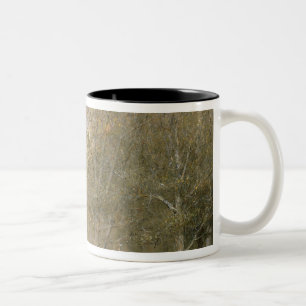 Canterbury Cathedral Two-Tone Coffee Mug
