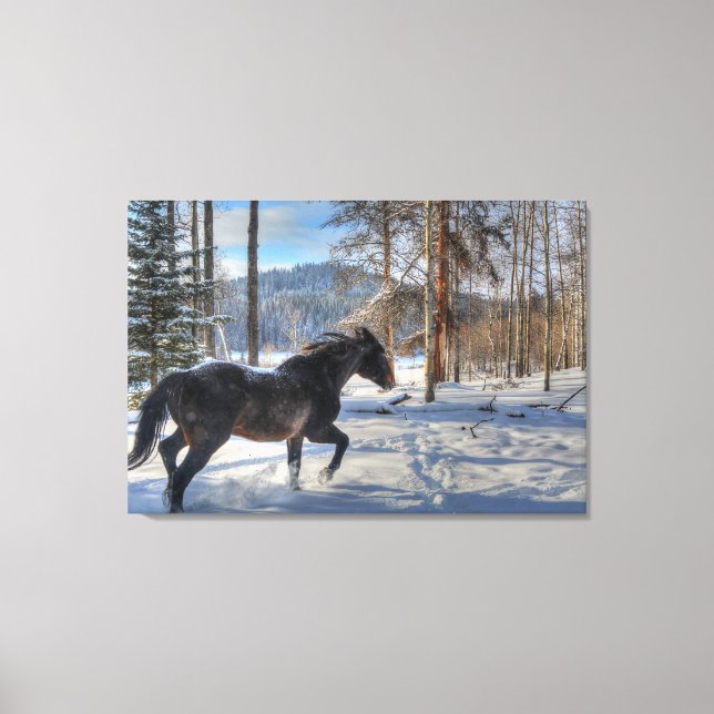 Cantering Black Percheron Horse & Snow Photo 2 Canvas Print (Front)