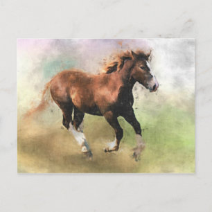 Cantering foal postcard