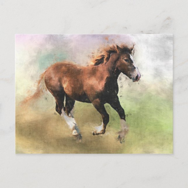 Cantering foal postcard (Front)