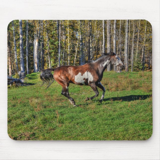 Cantering Paint Stallion & Forest Equine Photo Mouse Mat (Front)