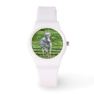 Cantering White Horse Equine Photo Watch