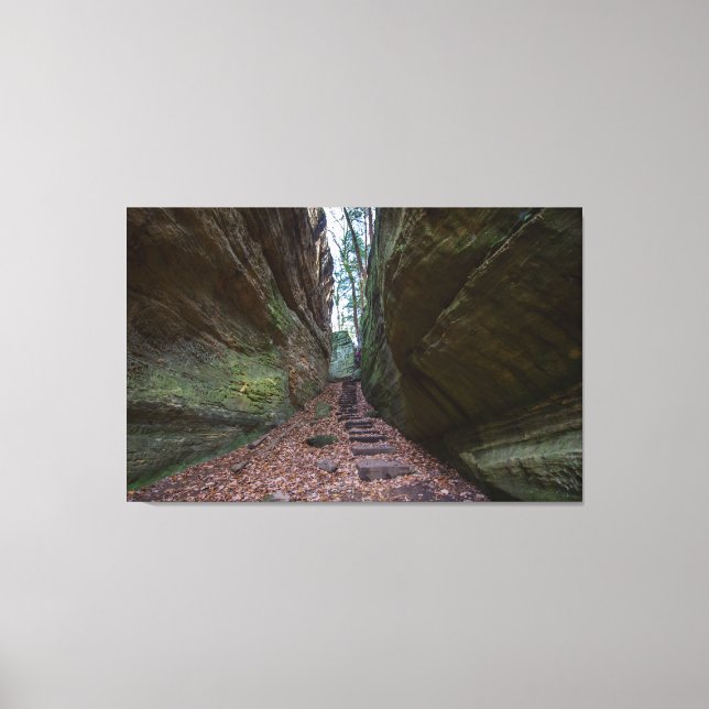 Cantwell Cliffs, Hocking Hills State Park, Ohio Canvas Print (Front)