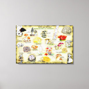 Canvas 30x20 Mushrooms of Vermont Print