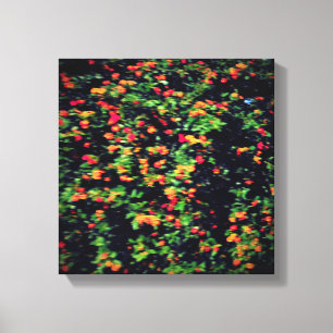 CANVAS ART AND DESIGN STYLE